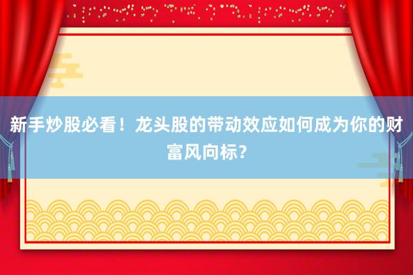 新手炒股必看!龙头股的带动效应如何成为你的财富风向标?