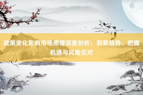 政策变化影响市场原理深度剖析：洞察趋势、把握机遇与风险应对
