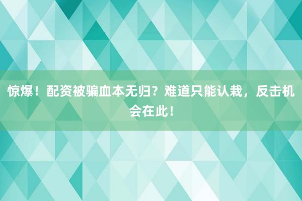 惊爆！配资被骗血本无归？难道只能认栽，反击机会在此！